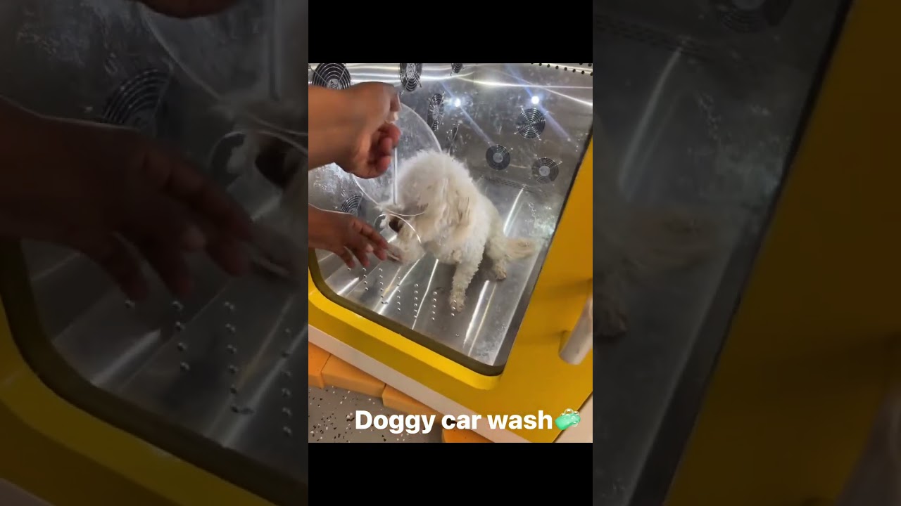 Happy take auto Dog wash located in La Puente, California  