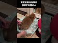 交互に来る攻撃に困惑する猫さん