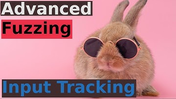 Advanced Fuzzing: Input Tracking