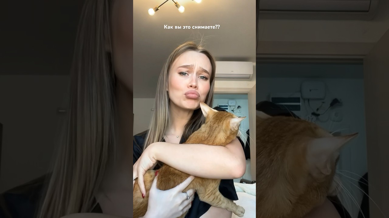 Моя котошапка не сработала 😂 ari_ulasevich ИНСТ | 