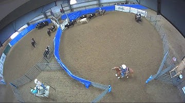 Big Sky Ranch Sorting Saddle Series #4 - YOUTH RANCH HAND - Round #1 - Ride #20