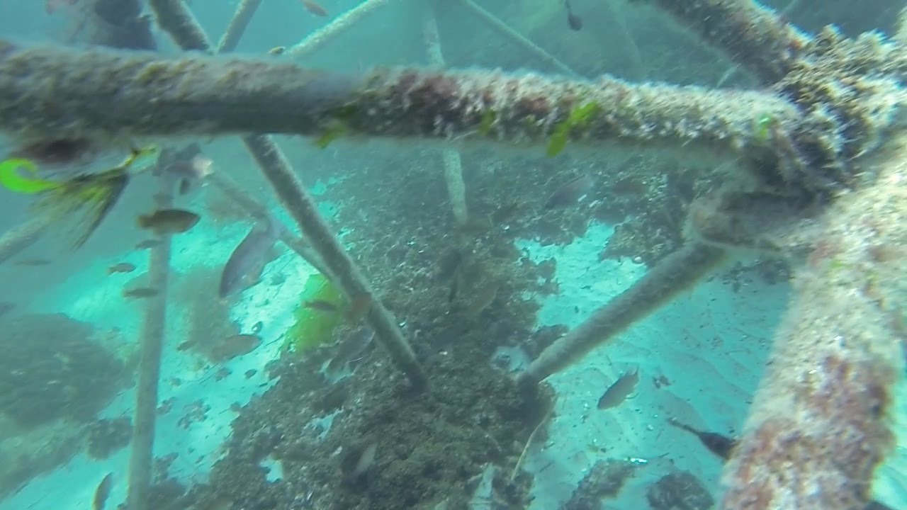 Spearfishing clear water NJ shore 7/25/14 YouTube