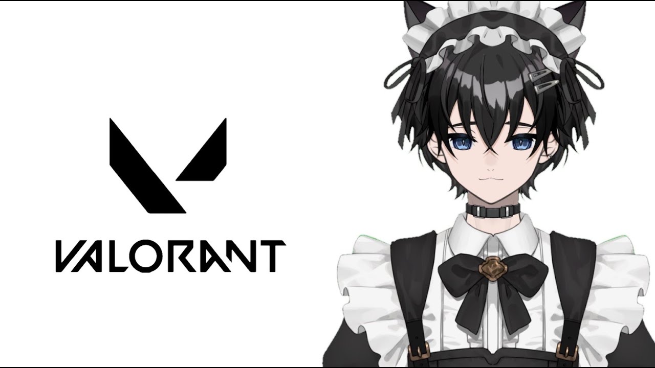 【VALORANT】参加◎初見さん大歓迎！！雑談ソロコンペ行くぞ～！！【新人Vtuber/valorant】