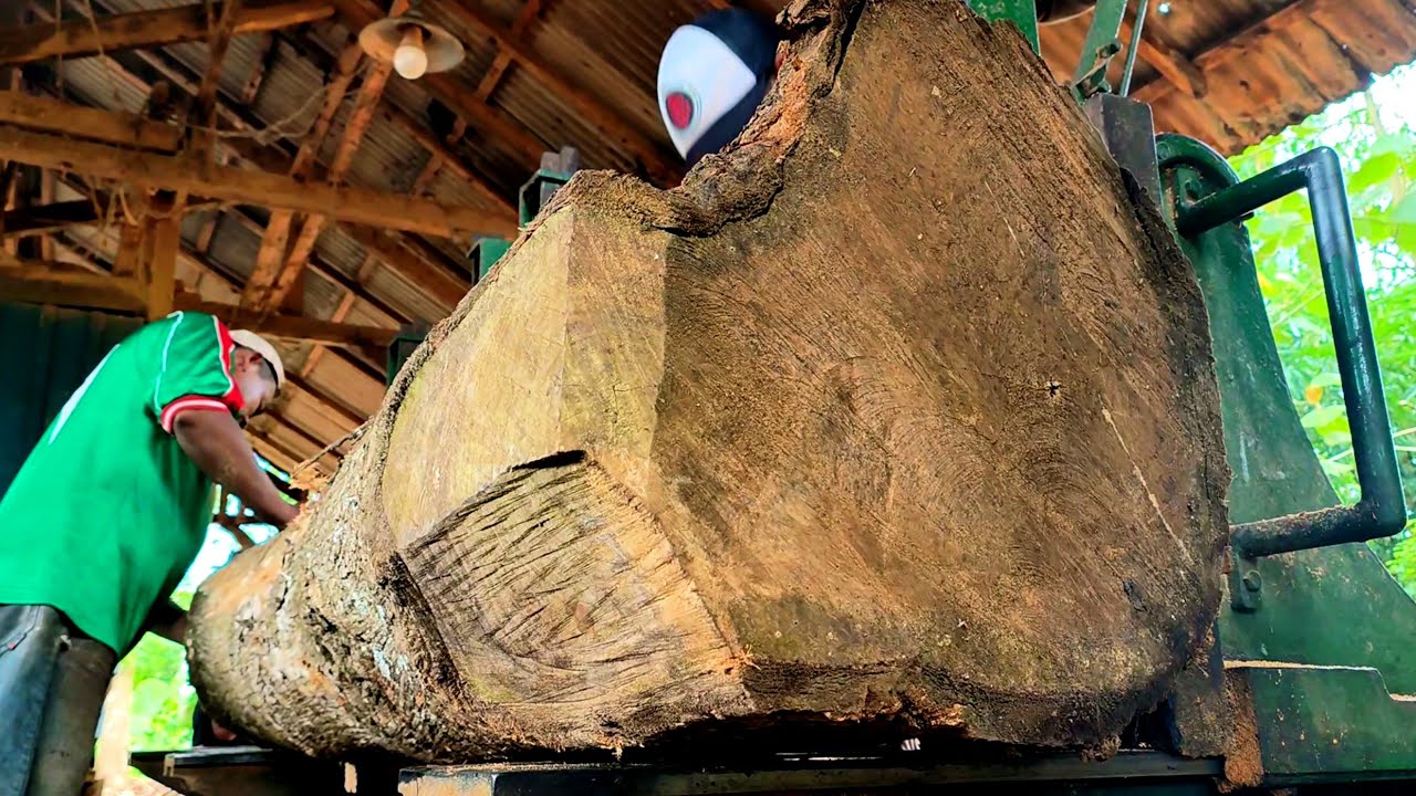 Surprisingly, the discovery of beautiful fibers in large teak wood is worth millions of rupiah. 