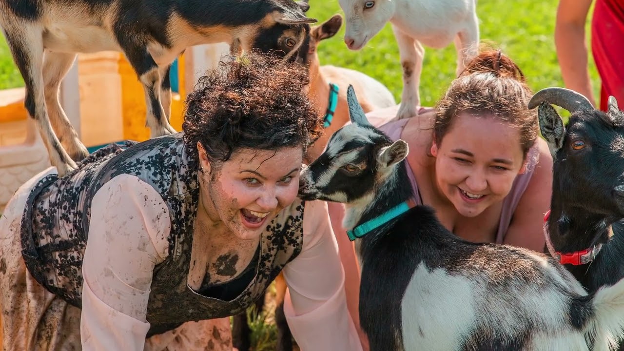 wreck the dress 2023 1080p 1