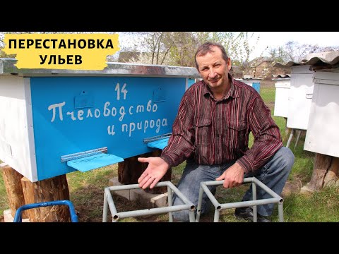 Как правильно переставлять ульи с пчелами?