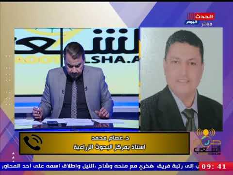 استاذ مركز البحوث الزراعية يوضح اهم تحديات الانتاج الحيواني في مصر