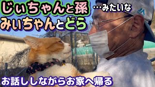 Awesome episode! Local cat Mii-chan is full of chatter