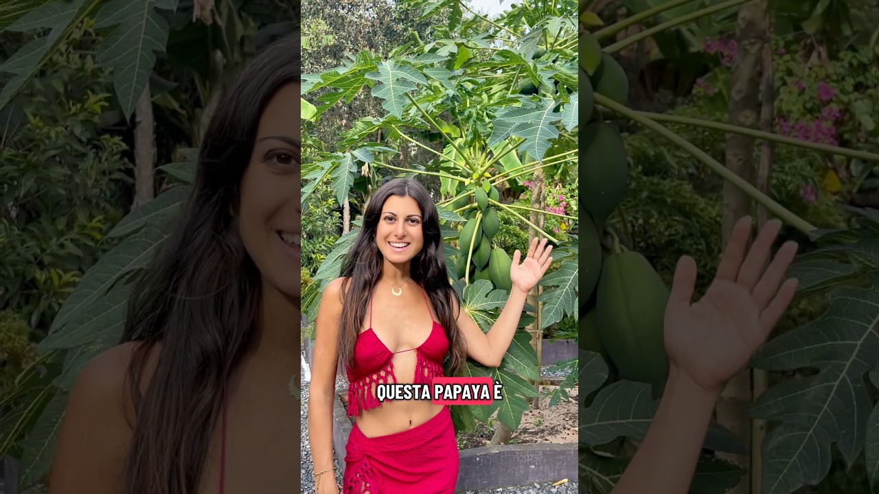 Un albero che cresce super velocemente🌴 