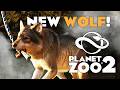 🌍 A NEW WOLF for PLANET ZOO 2! | Wholesome Games Direct