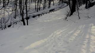 3Test Mavic2 Pro D-Logm