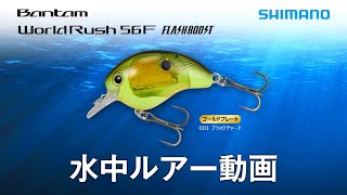 【水中ルアー動画】ワールドラッシュ 56F フラッシュブースト Bantam WorldRush 56F FB【バス】