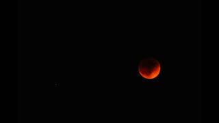 Lunar Eclipse Timelapse 2022-05-15