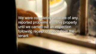 Landlords from Hell revisited