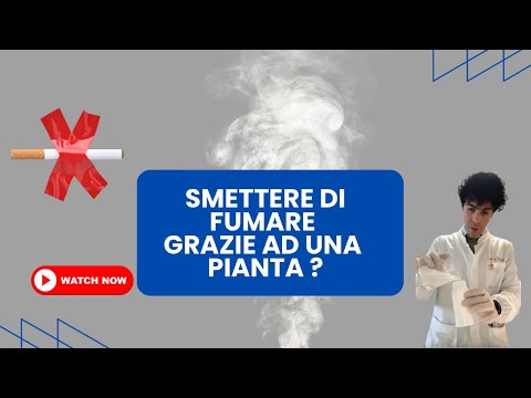Video Citisina, la chiave per smettere di fumare ?