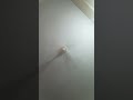 #comedy #funny