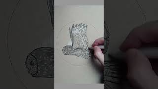 Snow Flight - Pen Drawing