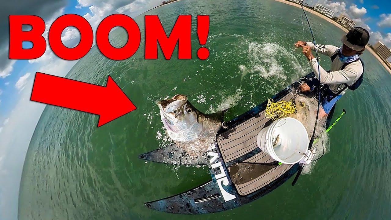 BIG FISH Crashed into my Board - Tarpon Fishing - YouTube