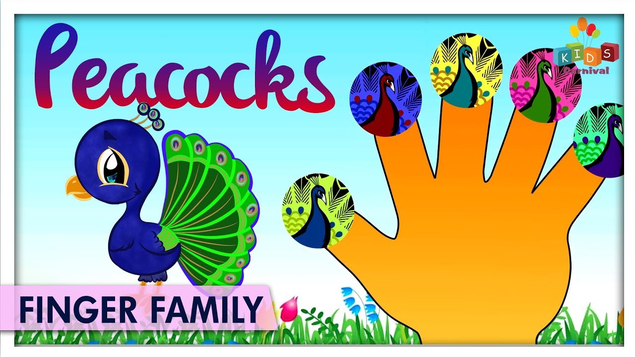 Peacock Finger Family | The Finger Family Song | Kids Carnival Nursery ...