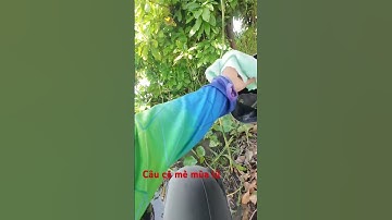 Câu cá mè mùa lũ