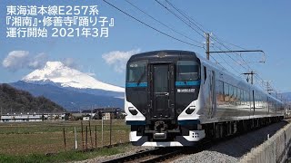 東海道本線E257系特急『湘南』・修善寺『踊り子』 2021年3月