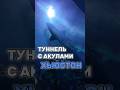 Туннель акул в Хьюстоне