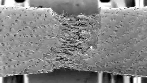 Tensile test in SEM using Deben tensile tester