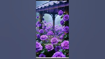 ⭐️سورة آل عمران...دعاء الخاشعين⭐️