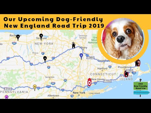 Pet-Friendly New England Vacations | Dexter The Dog's 2019 US Road Trip