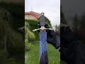 Авторский Нож (Кортик) #кизлярскиеножи #дагестан #кизлар #ножи #gladiator #blade #дамасскаясталь