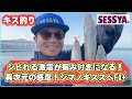 【キス釣り】シビれる激震が病み付きになる！異次元の感度！シマノキススペFX+