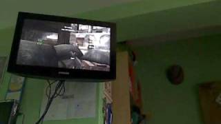Celebrity cod 5 fast motion glitch Wealth