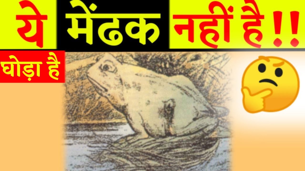 इस Photo में क्या है Optical Illusions In Hindi Enigmatic Photo