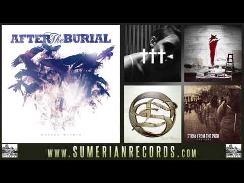 AFTER THE BURIAL - Anti-Pattern