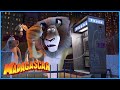 DreamWorks Madagascar Oh NO Marty Is Gone Madagascar Movie Clip Madagascar Kids Movies 