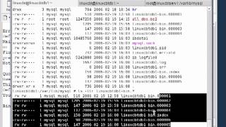 35 Mysql Database MySQL Logging