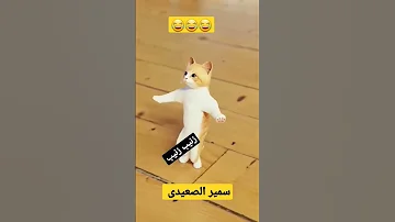 زينب زينب الحلوه زينب Shorts 