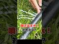 水が噴き出す！ホースを切った時の補修方法