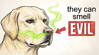 How Dogs Recognize a Bad Person? (Science Explained) | Dog Psychology