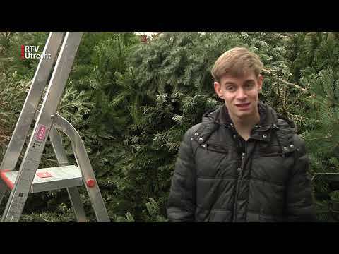 Martijn (16) verzamelt alle kerstbomen in Vianen voor de versnipperaar [RTV Utrecht]