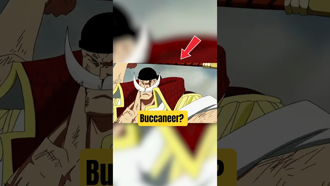 Was Whitebeard a Buccaneer?!