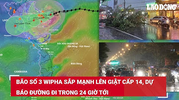 Bão số 3 Wipha sắp mạnh lên giật cấp 14, dự báo đường đi trong 24 giờ tới | Báo Lao Động
