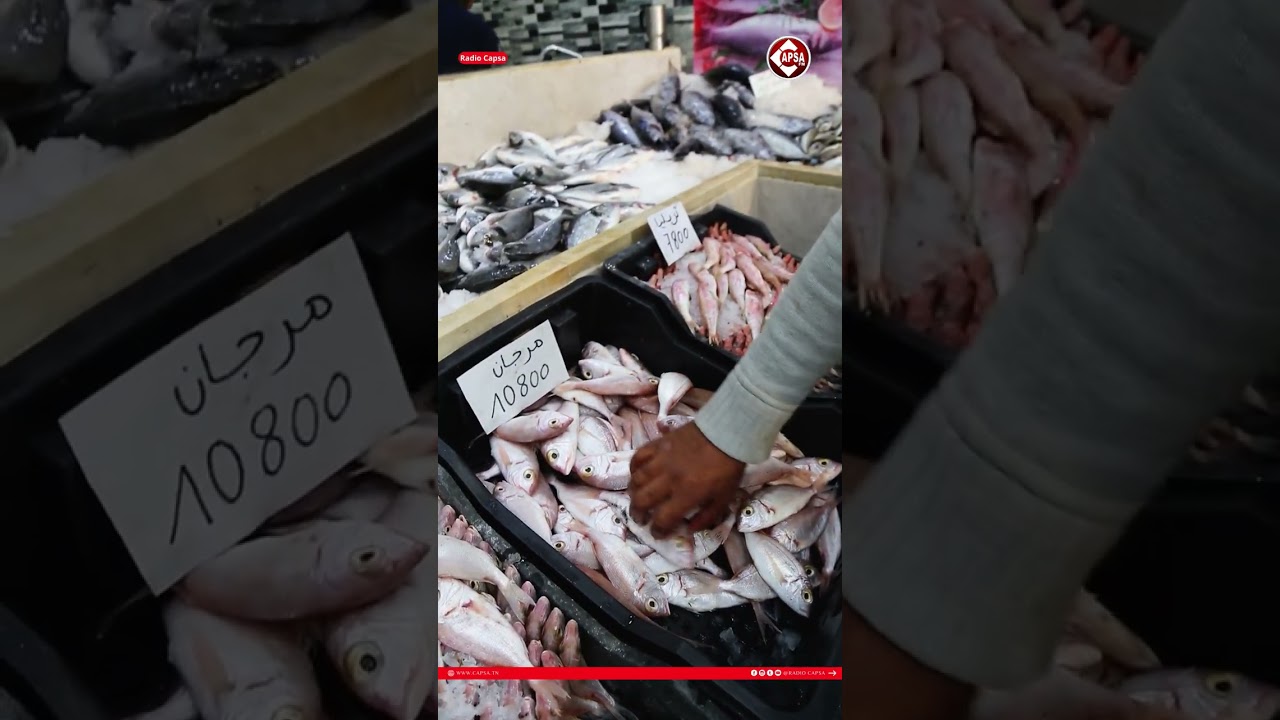 قصر الحوت في القصر مقبال مدرسة بن دولة