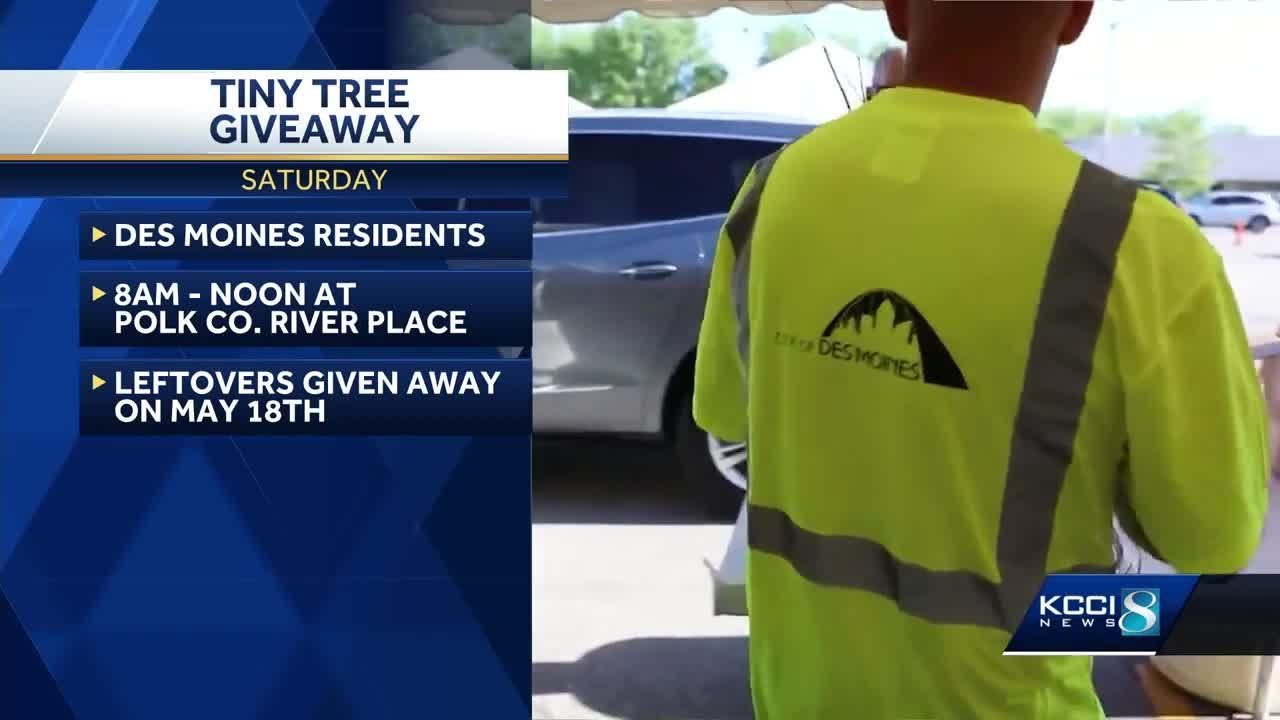 des-moines-to-give-away-more-than-2-000-trees-this-weekend-youtube