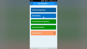 PLANBD DMIS - mReporting
