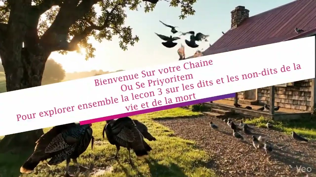 Leçon 3 : Les dits et les non-dits de La vie et la mort