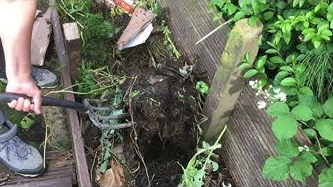 Turning the compost heap over after 2 months