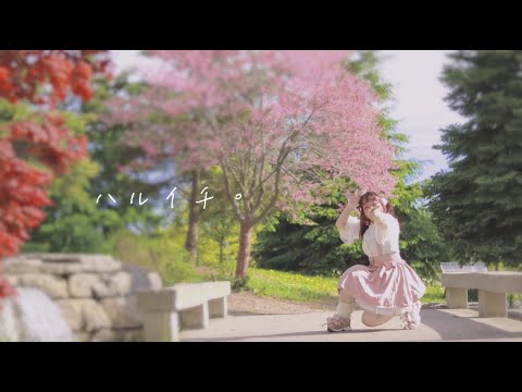 【北川】ハルイチ。踊ってみた