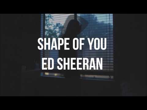 Shape Of You - Ed Sheeran (LYRICS)