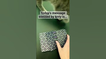 KITTY BLESSED card of the day with the Nightmare Before Christmas Tarot #cotd #tarot #tarotreading